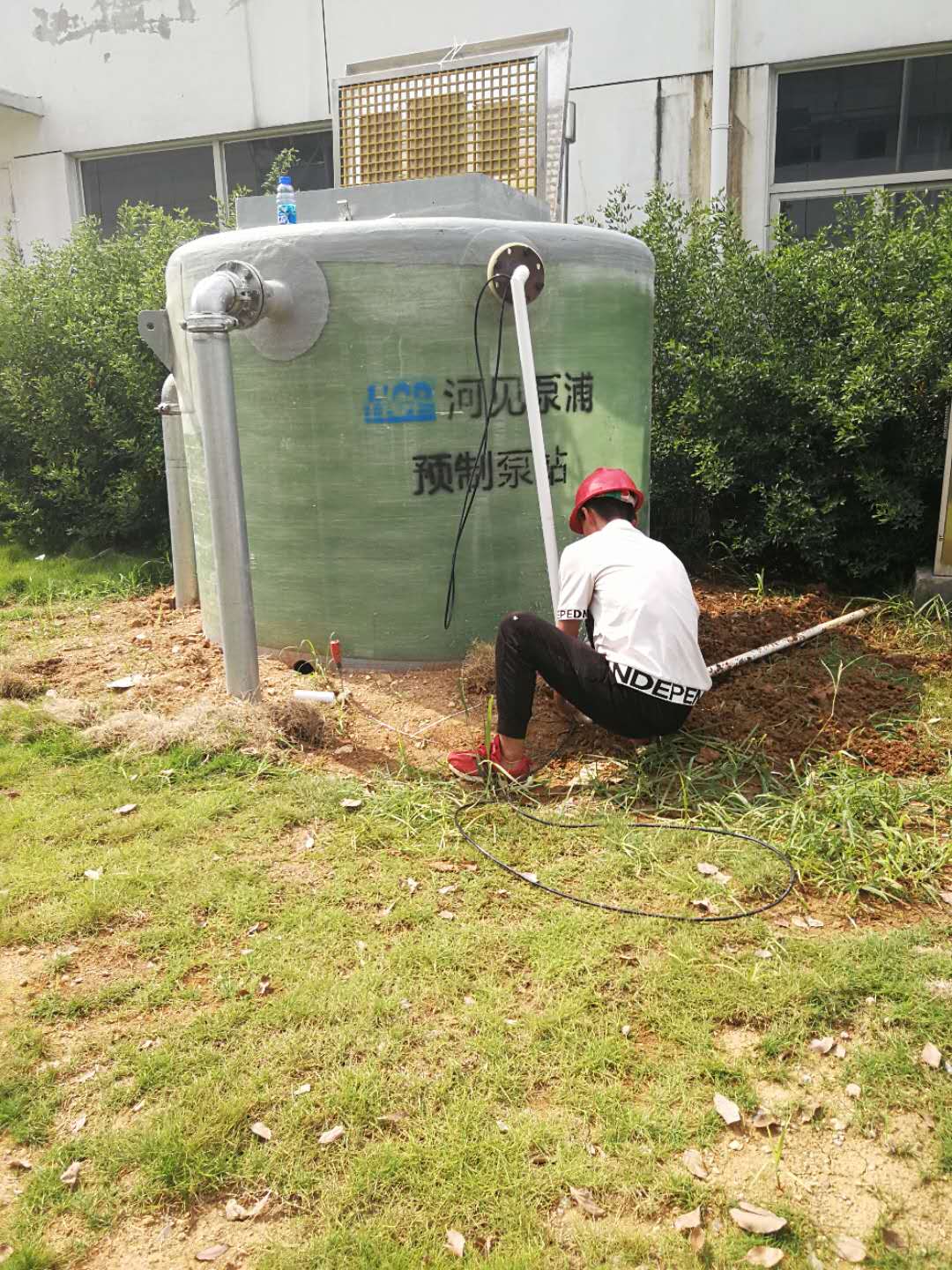东风雷诺